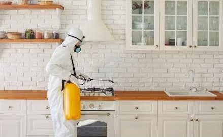 Pest Control professional at work